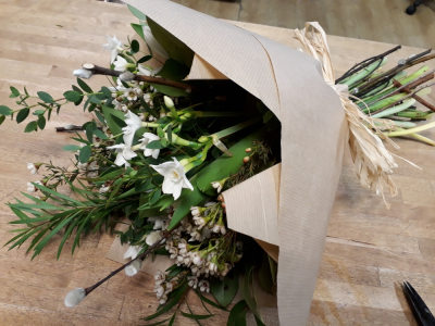 Willow the Wisp - Hand tied not in water