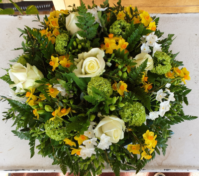 Yellow Posy - 