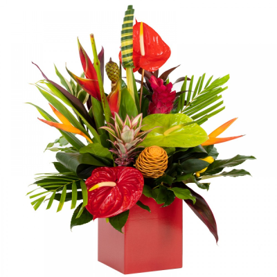 Club Tropicana * pre order* - An exotic hand tie with the days available tropcial flowers and foliage.  Please allow 1 day lead time for your order.